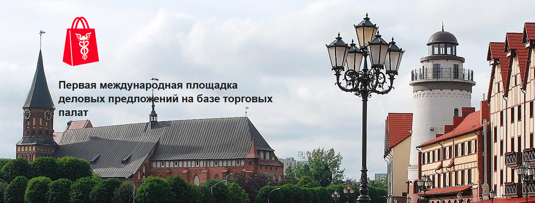 Project Illustration